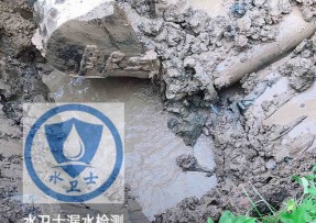 赤壁水管漏水检测公司5